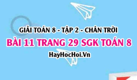 Bài 11 trang 29 Toán 8 Tập 2 Chân trời sáng tạo